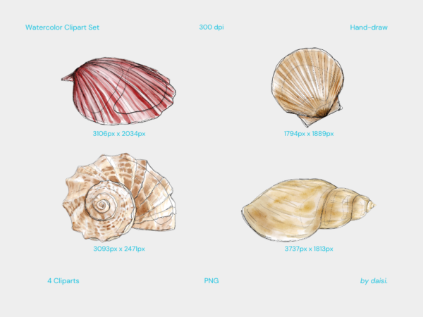 Cliparts | Seashells - Image 2