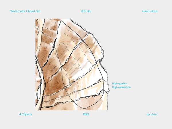 Cliparts | Seashells - Image 3