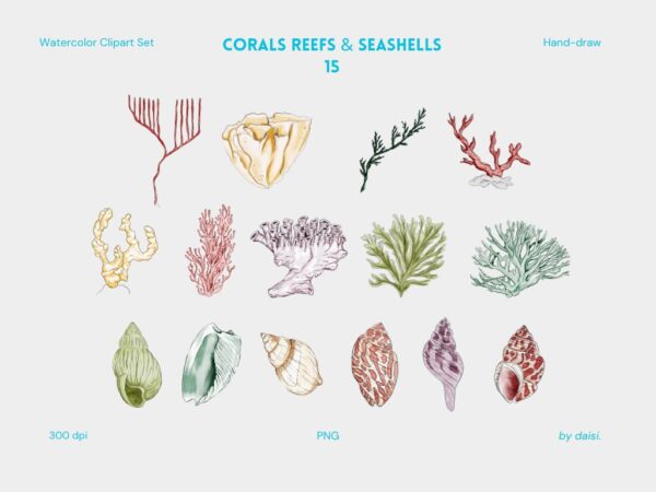 Cliparts | Ocean Reef - Image 4